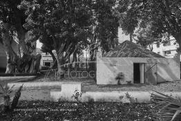 Image du Maroc Professionnelle de  Le sanctuaire du saint Sidi Bousmara. La légende raconte qu’un vieux pèlerin à la barbe blanche drapé de blanc frappa alors le sol avec son bâton et une source jaillit du sol. il s’installe à Casablanca au milieu du cimetière et plante un caoutchouc qui devint rapidement gigantesque. Le saint marabout Sidi Bousmara est visité depuis longtemps par tous ceux qui sont atteint de la rage convergent vers ce lieu et plante un clou sur l’arbre dans l’espoir d’une guérison, ou sur le mur est, Jeudi 15 Février 2007. (Photo / Abdeljalil Bounhar) 